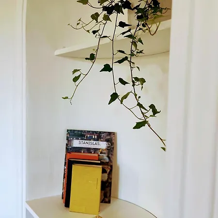 Appartement Cosy 2 Chambres Nancy Thermal, Parc Sainte-Marie - Calme Et Lits Queen Size * Nancy