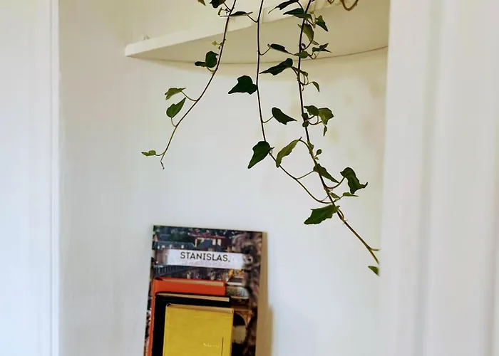 Atelier Thermal, 2 Chambres, Lits Queen Size, Calme, By Tidhome * 南锡